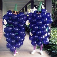 May 1987 - District 4-C4 Convention, El Rancho Tropicana, Santa Rosa - Costume Parade - Estelle, left, & Charlie Bottarini ready for the contume parade.