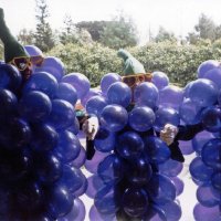 May 1987 - District 4-C4 Convention, El Rancho Tropicana, Santa Rosa - Costume Parade - L to R: Frank Ferrera, Eva Bello, and Estelle Bottarini.