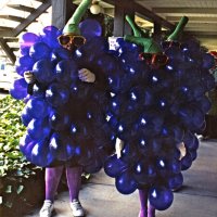 May 1987 - District 4-C4 Convention, El Rancho Tropicana, Santa Rosa - Costume Parade - Handford, left, & Margot Clews.
