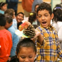 11/16/17 - Serving Thanksgiving Luncheon, Mission Educational Center - One of the immigrant students at Mission Education Center plays with a pinecone turkey while waiting for lunch to be served at their first Thanksgiving. (Mira Laing/Special to S.F. Examiner)