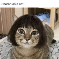 8-25-22 - From Facebook - Sharon Eberhardt depicted as a cat; pretty close don’t you think?